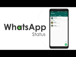 The Easiest Way to Download WhatsApp Status Videos