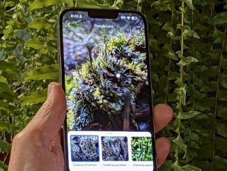 Unveiling the Mystery: How to Image Search on Your iPhone